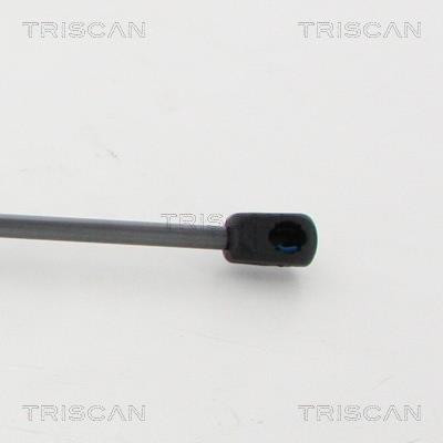 Vérin (Vérin de hayon) Triscan A/S 8710 15254