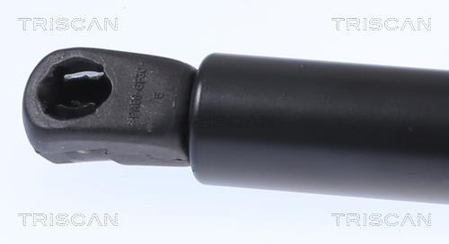 Muelle neumático Triscan A/S ref. 8710 15257