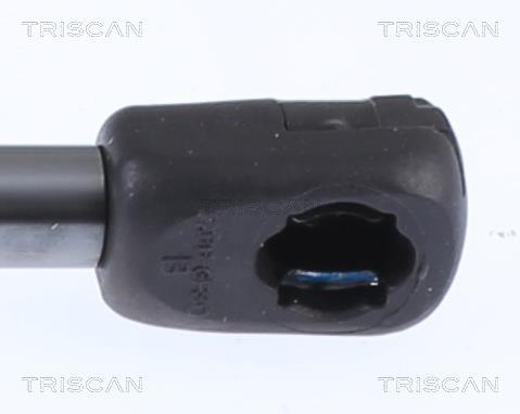 Muelle neumático Triscan A/S ref. 8710 15257