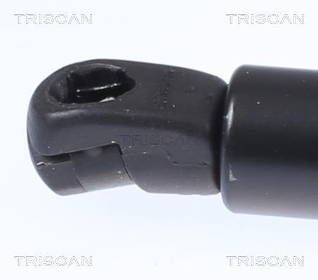 Vérin (Vérin de hayon) Triscan A/S 8710 15258