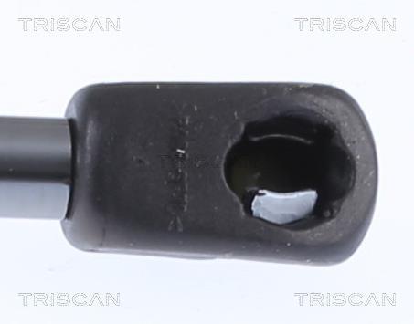 Vérin (Vérin de hayon) Triscan A/S 8710 15258