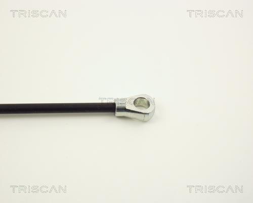 Vérin (Vérin de hayon) Triscan A/S 8710 1601