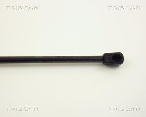 Vérin (Vérin de hayon) Triscan A/S 8710 1608