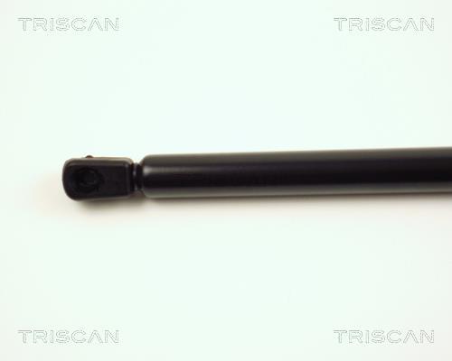Vérin (Vérin de hayon) Triscan A/S ref. 8710 16100