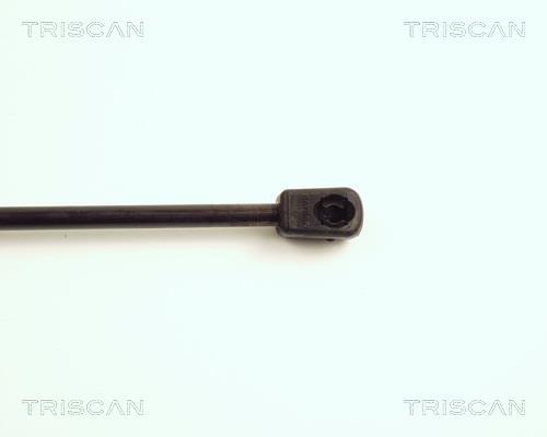 Vérin (Vérin de hayon) Triscan A/S ref. 8710 16100