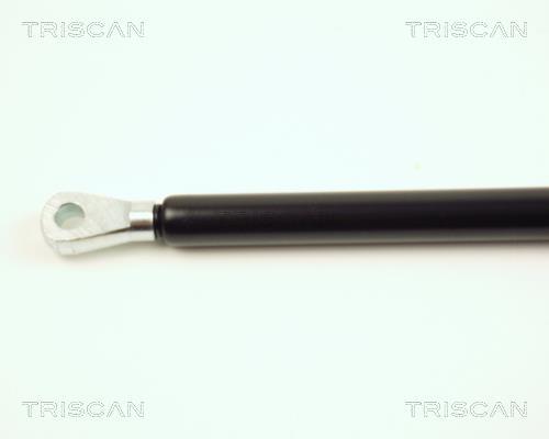 Vérin (Vérin de hayon) Triscan A/S ref. 8710 16102