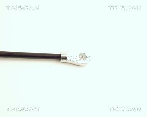 Vérin (Vérin de hayon) Triscan A/S ref. 8710 16102