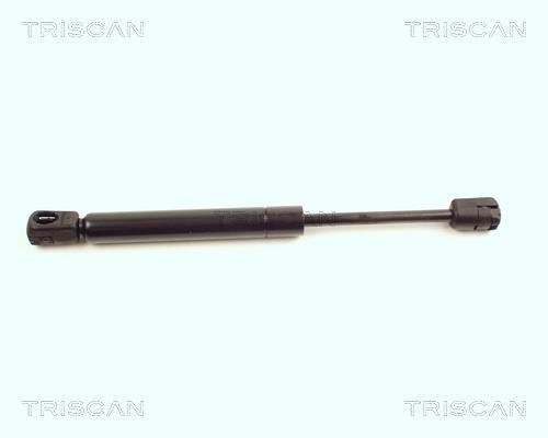 Vérin (Vérin de hayon) Triscan A/S 8710 16104