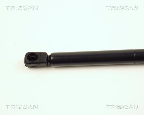 Vérin (Vérin de hayon) Triscan A/S 8710 16104