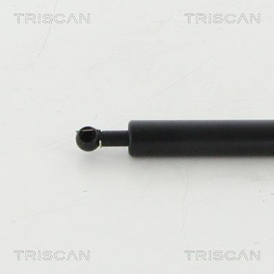 Vérin (Vérin de hayon) Triscan A/S 8710 16105
