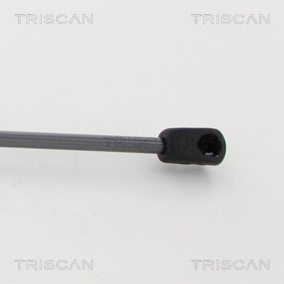 Vérin (Vérin de hayon) Triscan A/S 8710 16105