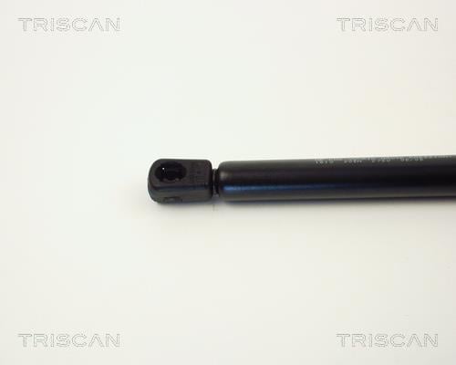 Vérin (Vérin de hayon) Triscan A/S 8710 1610