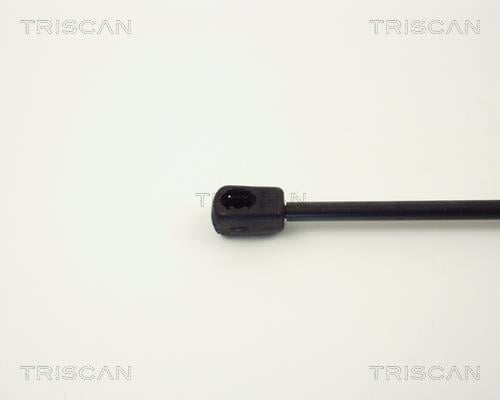 Vérin (Vérin de hayon) Triscan A/S 8710 1610