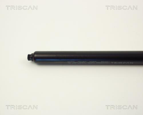 Vérin (Vérin de hayon) Triscan A/S ref. 8710 1615