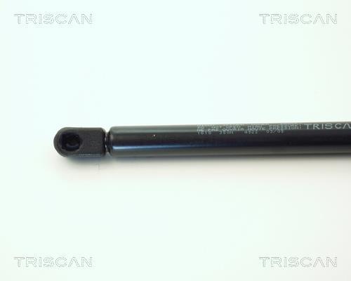 Muelle neumático Triscan A/S 8710 1618