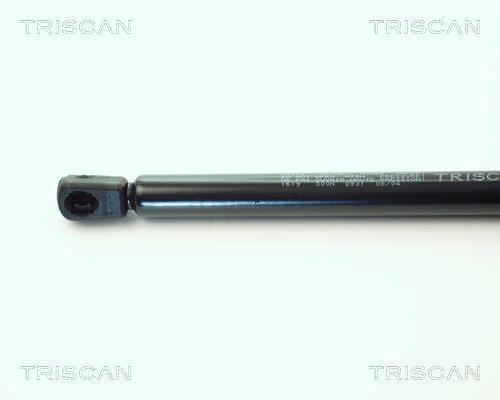 Vérin (Vérin de hayon) Triscan A/S 8710 1619