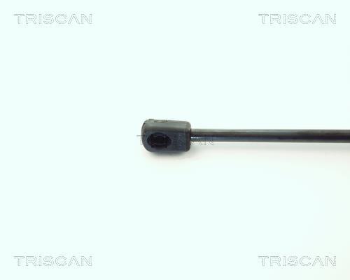 Vérin (Vérin de hayon) Triscan A/S 8710 1619