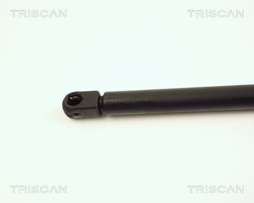 Cilindro Triscan A/S 8710 16203