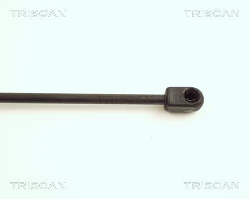 Cilindro Triscan A/S 8710 16203