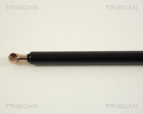 Vérin (Vérin de hayon) Triscan A/S 8710 16206