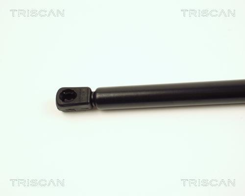Vérin (Vérin de hayon) Triscan A/S 8710 16208