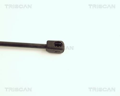 Vérin (Vérin de hayon) Triscan A/S 8710 16208