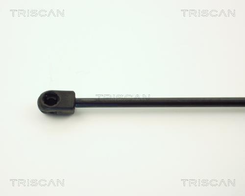 Muelle neumático Triscan A/S 8710 1620
