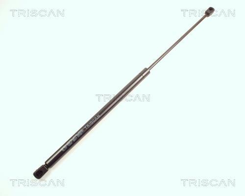 Vérin (Vérin de hayon) Triscan A/S 8710 16210