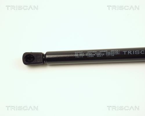 Vérin (Vérin de hayon) Triscan A/S 8710 16210