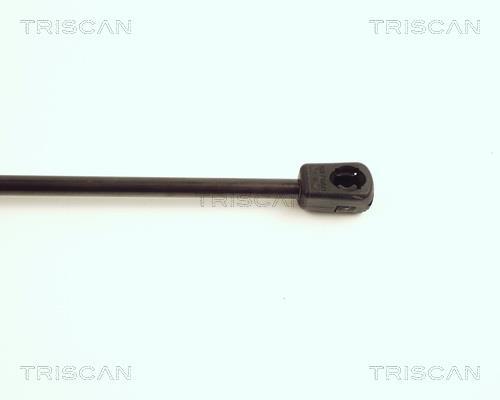 Vérin (Vérin de hayon) Triscan A/S 8710 16210