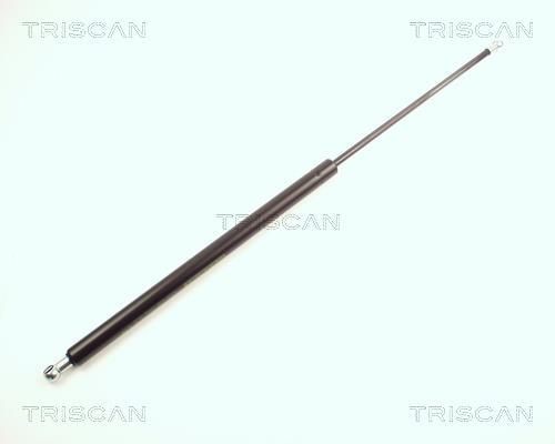 Vérin (Vérin de hayon) Triscan A/S ref. 8710 16215