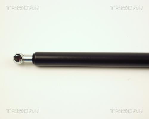 Vérin (Vérin de hayon) Triscan A/S ref. 8710 16215