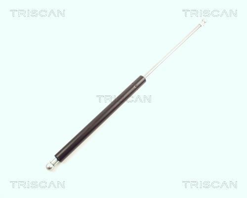 Vérin (Vérin de hayon) Triscan A/S 8710 16216