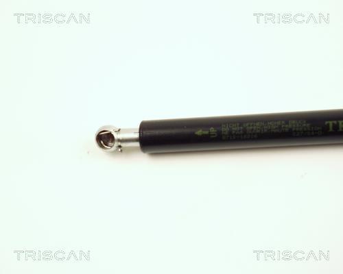 Vérin (Vérin de hayon) Triscan A/S 8710 16216
