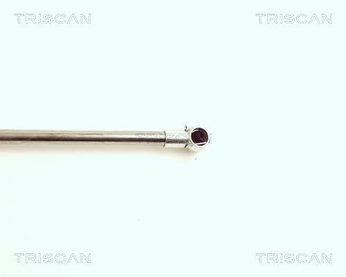 Vérin (Vérin de hayon) Triscan A/S 8710 16216