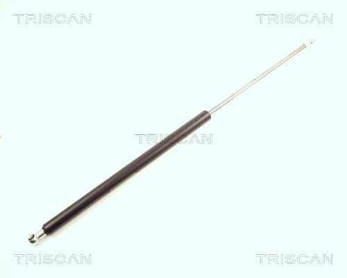Vérin (Vérin de hayon) Triscan A/S 8710 16217