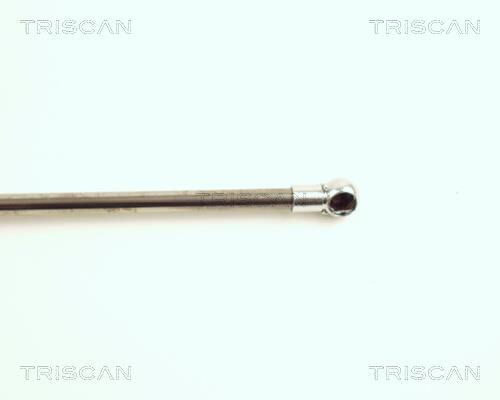 Vérin (Vérin de hayon) Triscan A/S 8710 16217