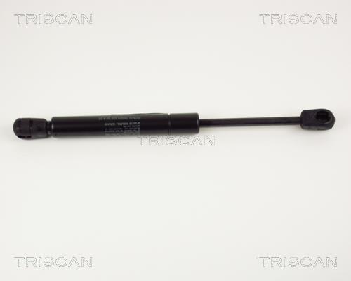 Vérin (Vérin de hayon) Triscan A/S 8710 16219