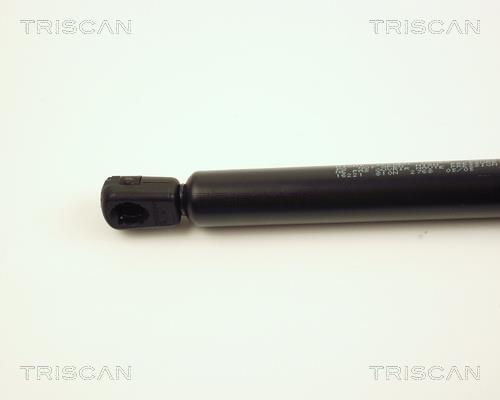 Cilindro Triscan A/S 8710 16221