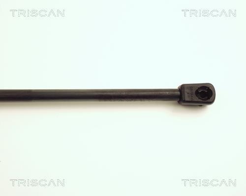 Cilindro Triscan A/S 8710 16221