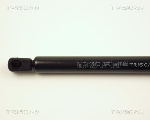 Vérin (Vérin de hayon) Triscan A/S 8710 16222