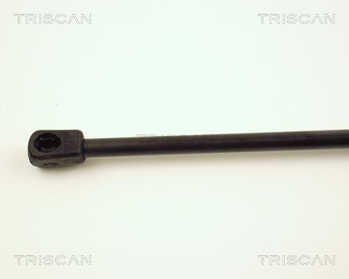 Vérin (Vérin de hayon) Triscan A/S 8710 16222