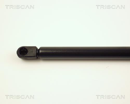 Vérin (Vérin de hayon) Triscan A/S ref. 8710 16224