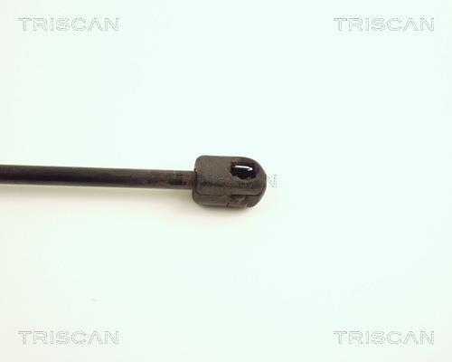 Vérin (Vérin de hayon) Triscan A/S ref. 8710 16224