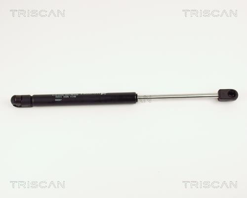 Vérin (Vérin de hayon) Triscan A/S ref. 8710 16225