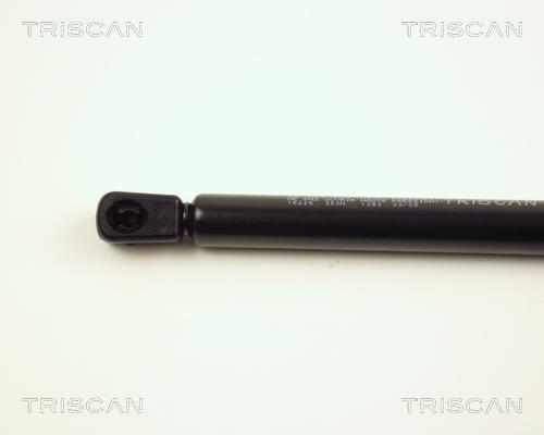 Vérin (Vérin de hayon) Triscan A/S ref. 8710 16226