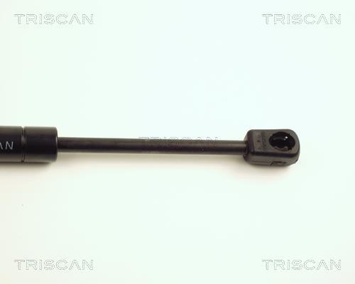Vérin (Vérin de hayon) Triscan A/S ref. 8710 16226
