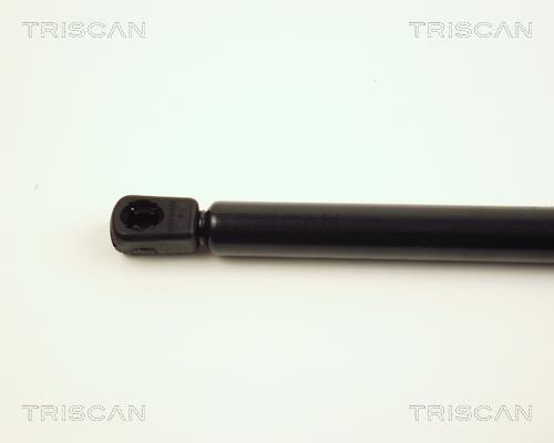 Vérin (Vérin de hayon) Triscan A/S ref. 8710 16227