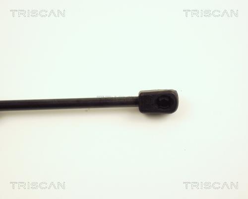 Vérin (Vérin de hayon) Triscan A/S ref. 8710 16227