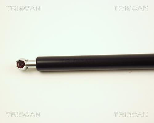 Vérin (Vérin de hayon) Triscan A/S ref. 8710 16229